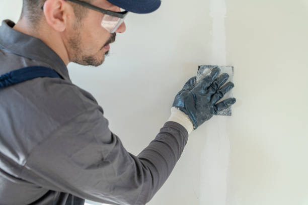 Best Drywall Removal and Disposal  in Walnut Grove, CA